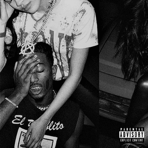 Die Lit (Sessions)