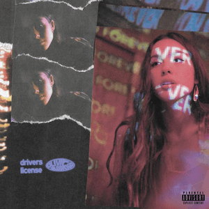 drivers license - Single