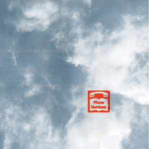 Phone Numbers - Single