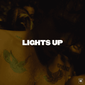 Lights Up - Single